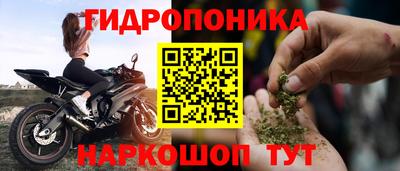 прущие грибы Ливны